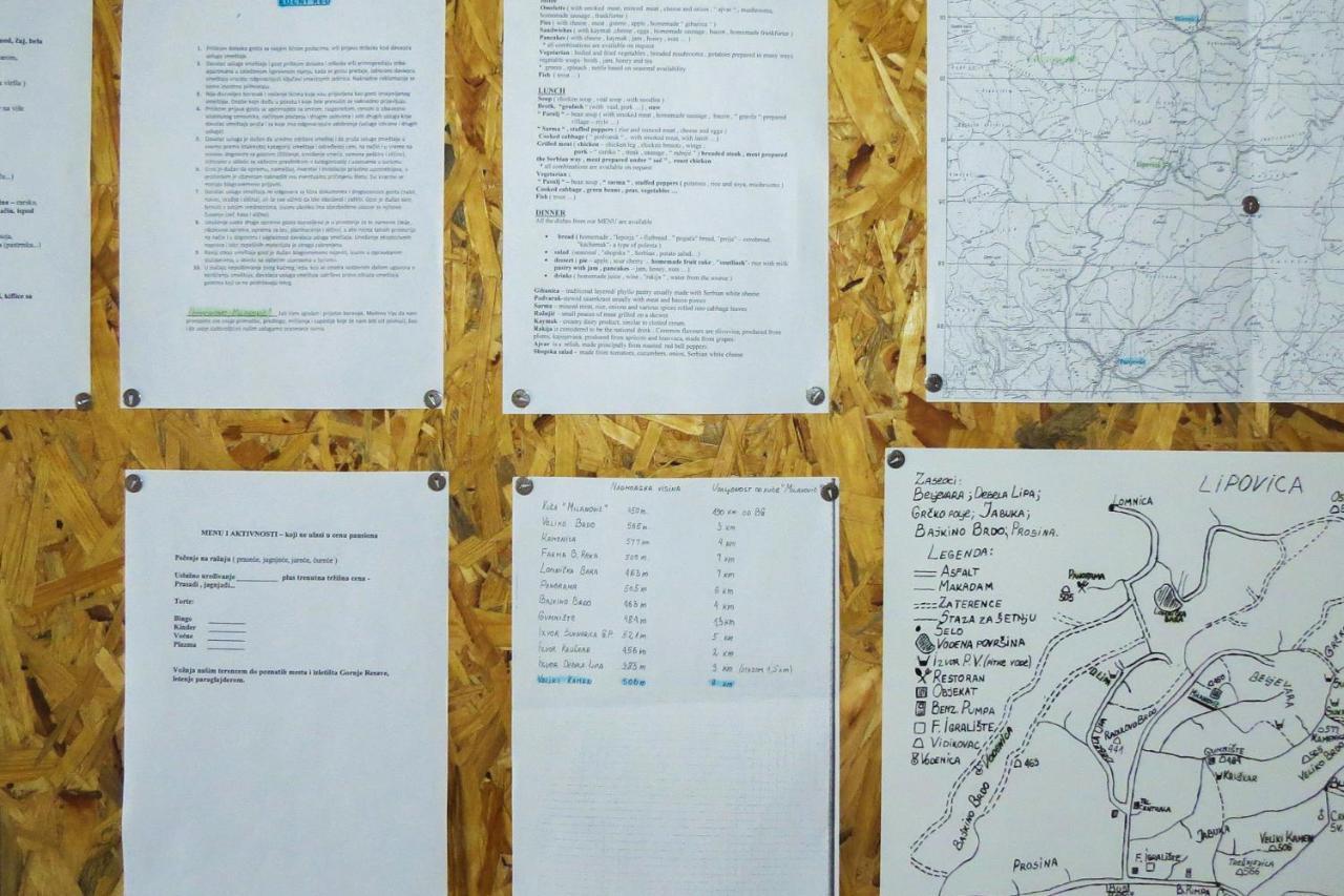 Eco Farm Milanovic Pensionat Despotovac Eksteriør billede