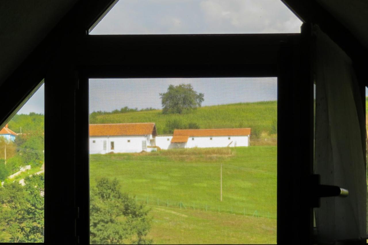 Eco Farm Milanovic Pensionat Despotovac Eksteriør billede