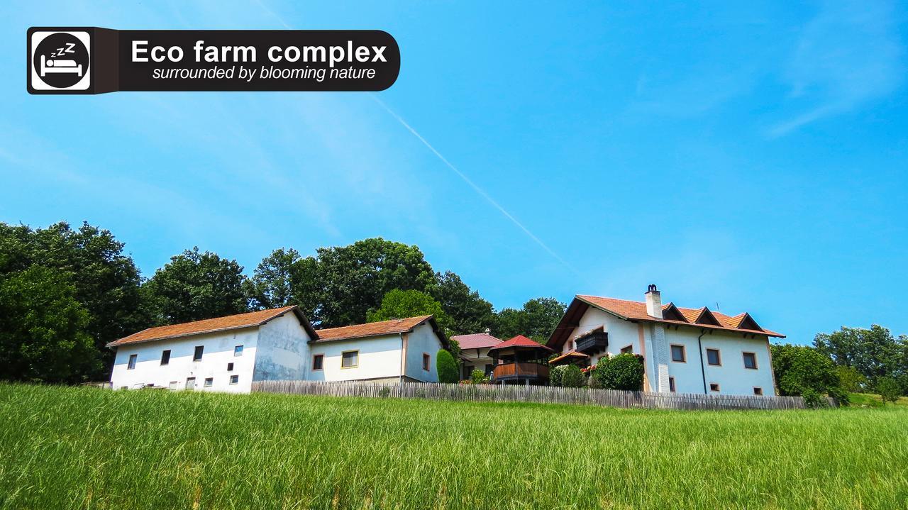 Eco Farm Milanovic Pensionat Despotovac Eksteriør billede