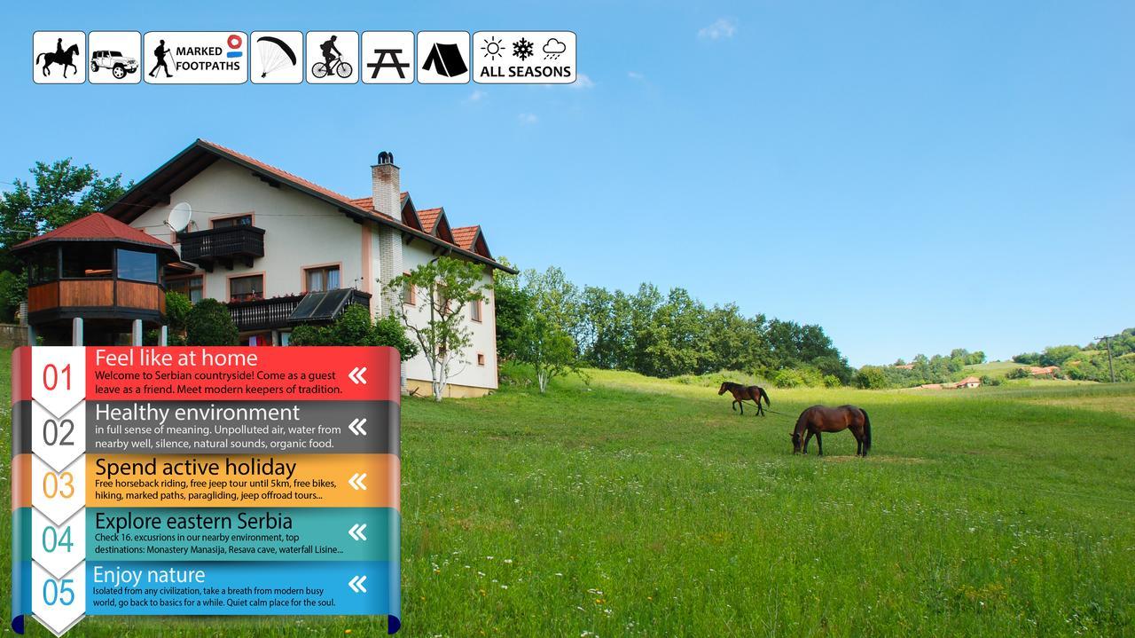 Eco Farm Milanovic Pensionat Despotovac Eksteriør billede